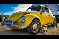 VW Coccinelle - Bumblebee